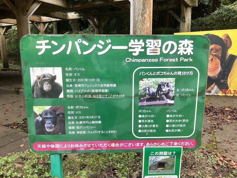 カドリードミニオン