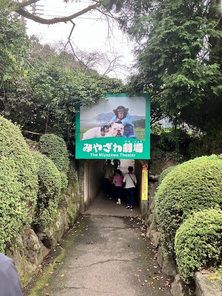 カドリードミニオン