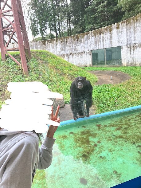 カドリードミニオン パン君