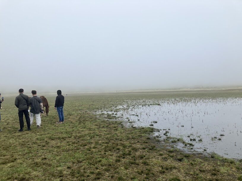 熊本日帰りバスツアー