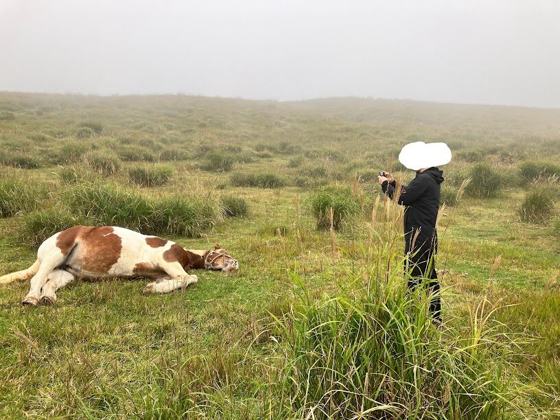 熊本日帰りバスツアー